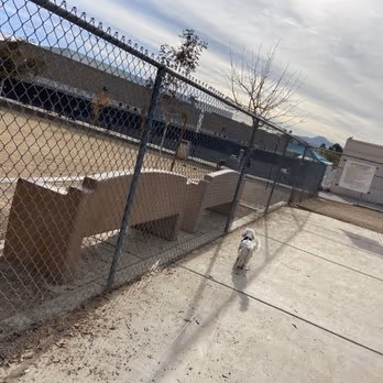Dog Park at Dos Escuelas Park photo 1